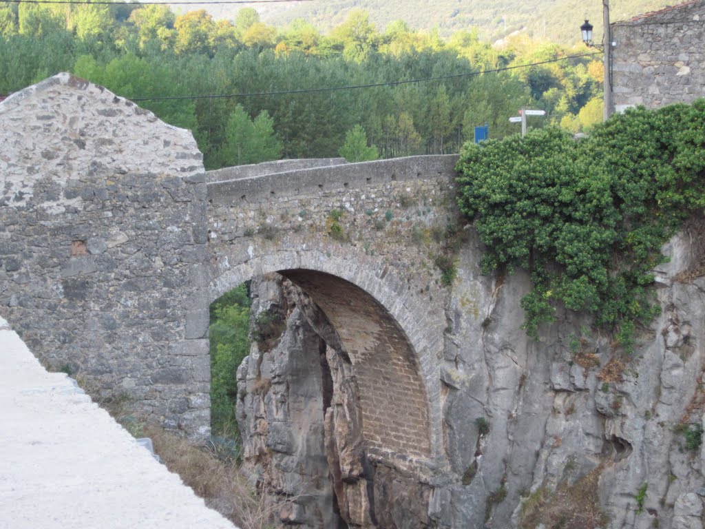 Puente de la madre de dios 1 by el juanan