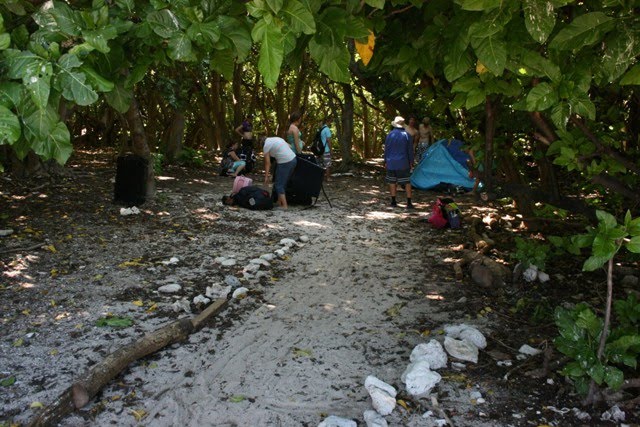 Lady Musgrave Island campsite by gary4now