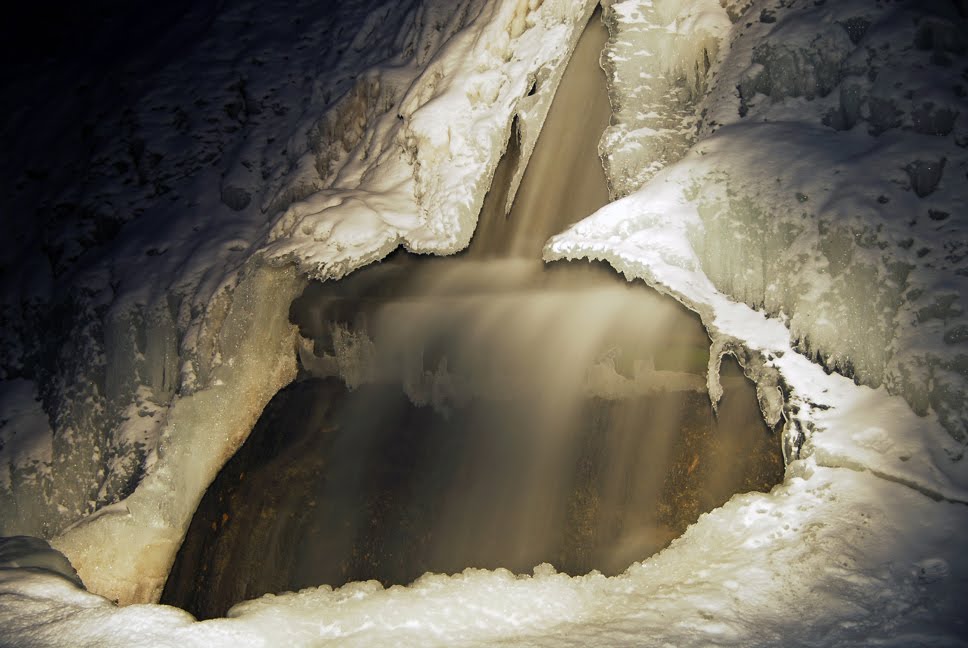 Water Hole by Steven H. O. Jones