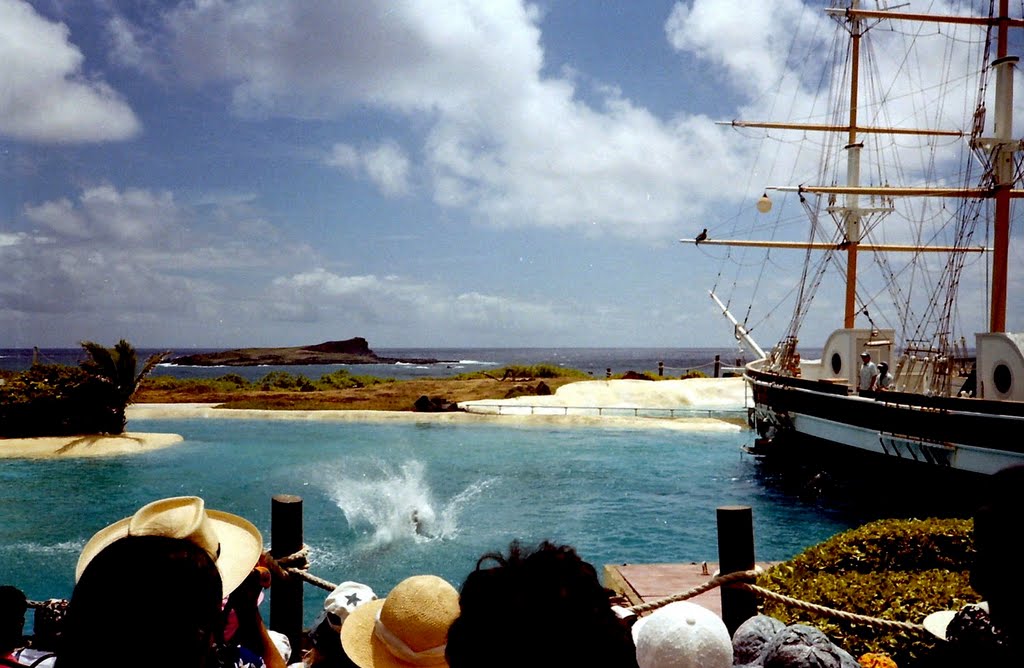 Sea Life Park, Hawaii by R. Halim