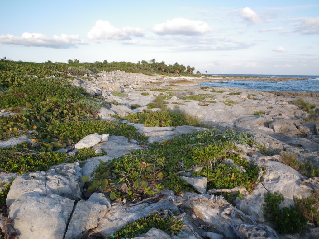 Path from Chemuyil beach by corie anne