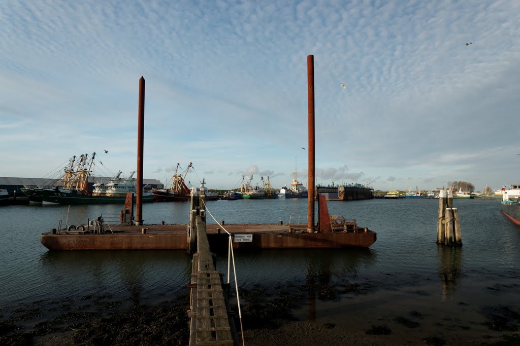 Texel - Oudeschild - Haven / Harbour - View NW by txllxt TxllxT