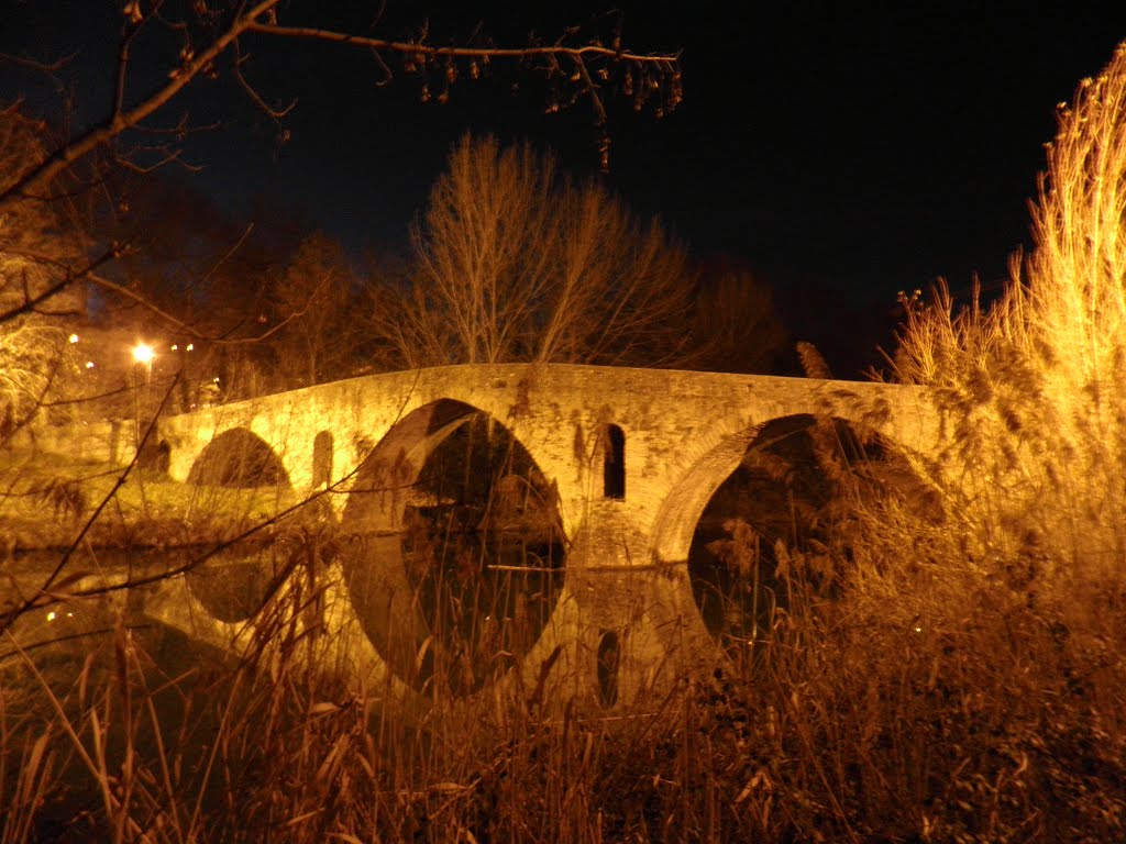 Pamplona. Puente de la Magdalena by Susana