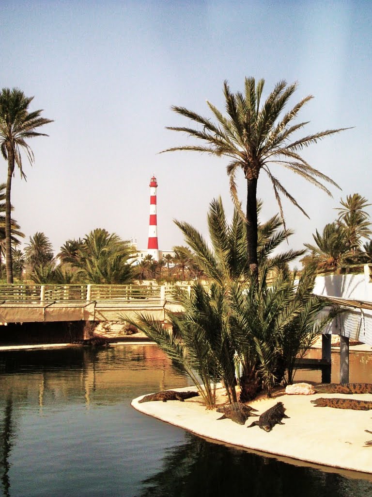 DJERBA EXPLOR:PARK by NAVI ABDAVSEN