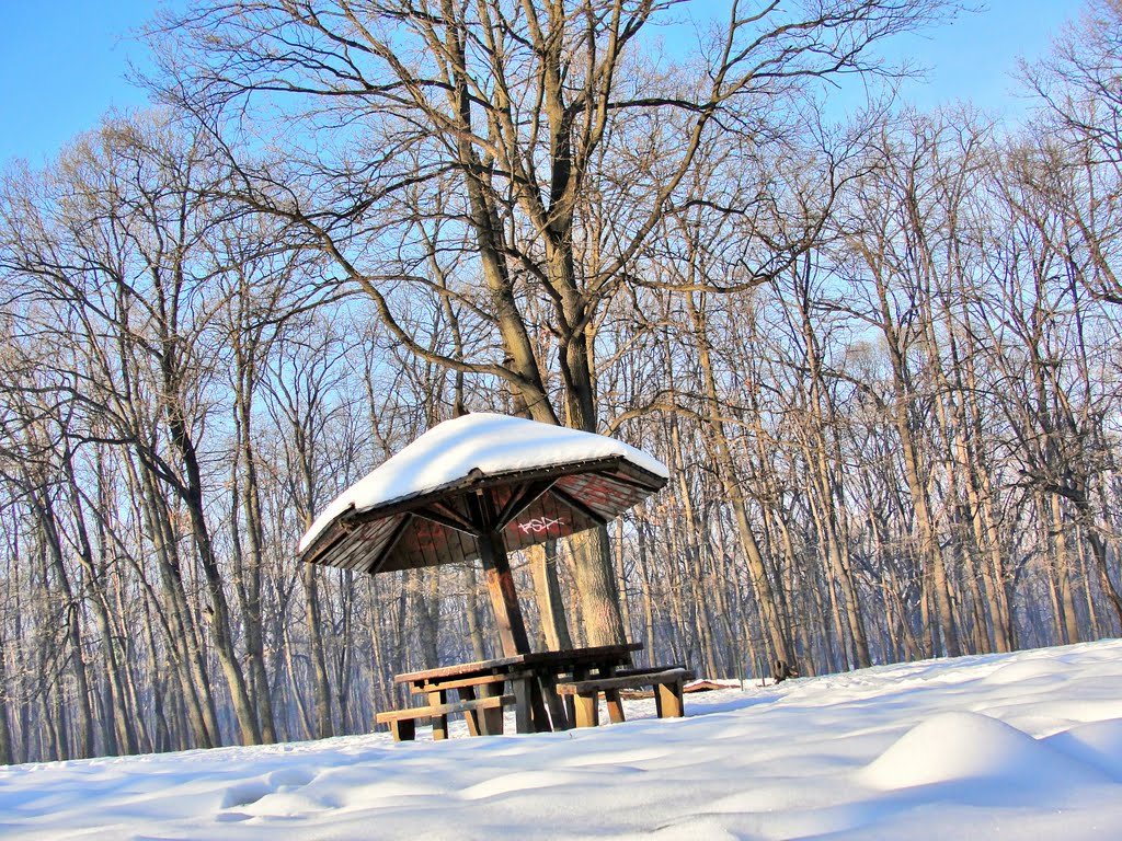 Košutnjak, Feb 2011 by mile micun