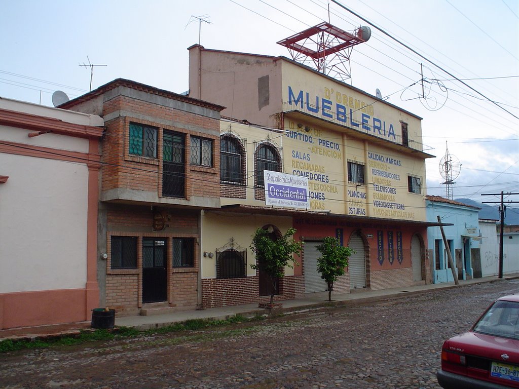 Calle Constitucion, Mascota by Gustavo Gonzalez Barba