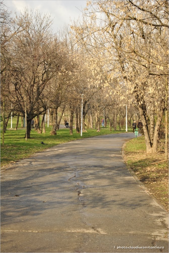 Tineretului park, Bucharest by Claudiu Constantin