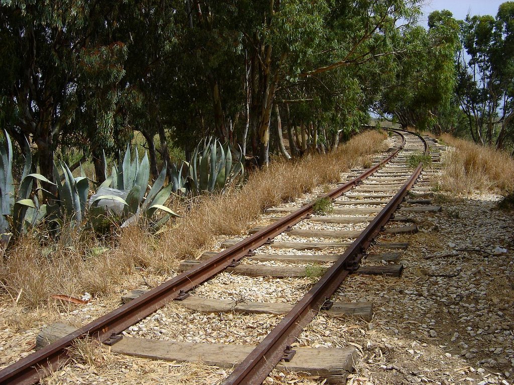 Old railway by schianto