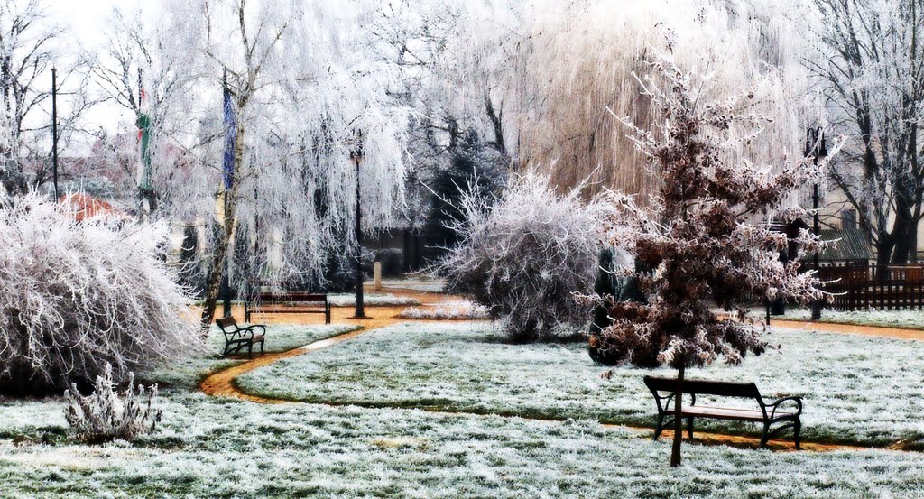 Drávaszabolcs Park by Kovács Ferenc