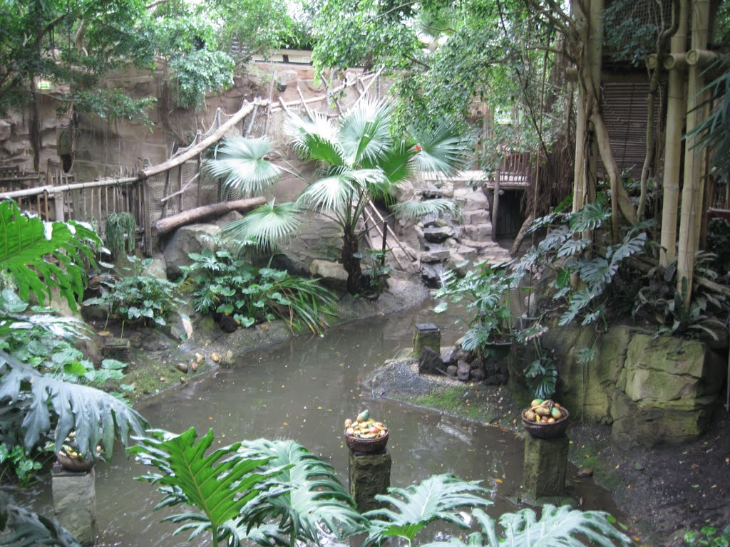 Center Parc (Het Heijderbos) - Jungle Dome by Evo Tripsa