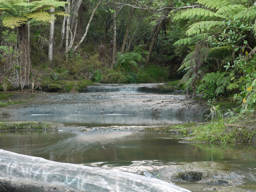 Moire Park Creek by Yortw