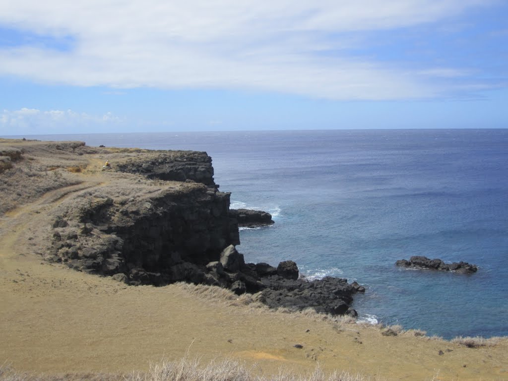 Ruggedly beautiful South Point, Hi by bamslerc