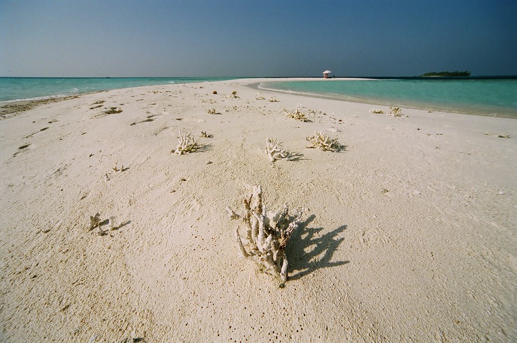 Sandbank near meeru by Victor Paderin