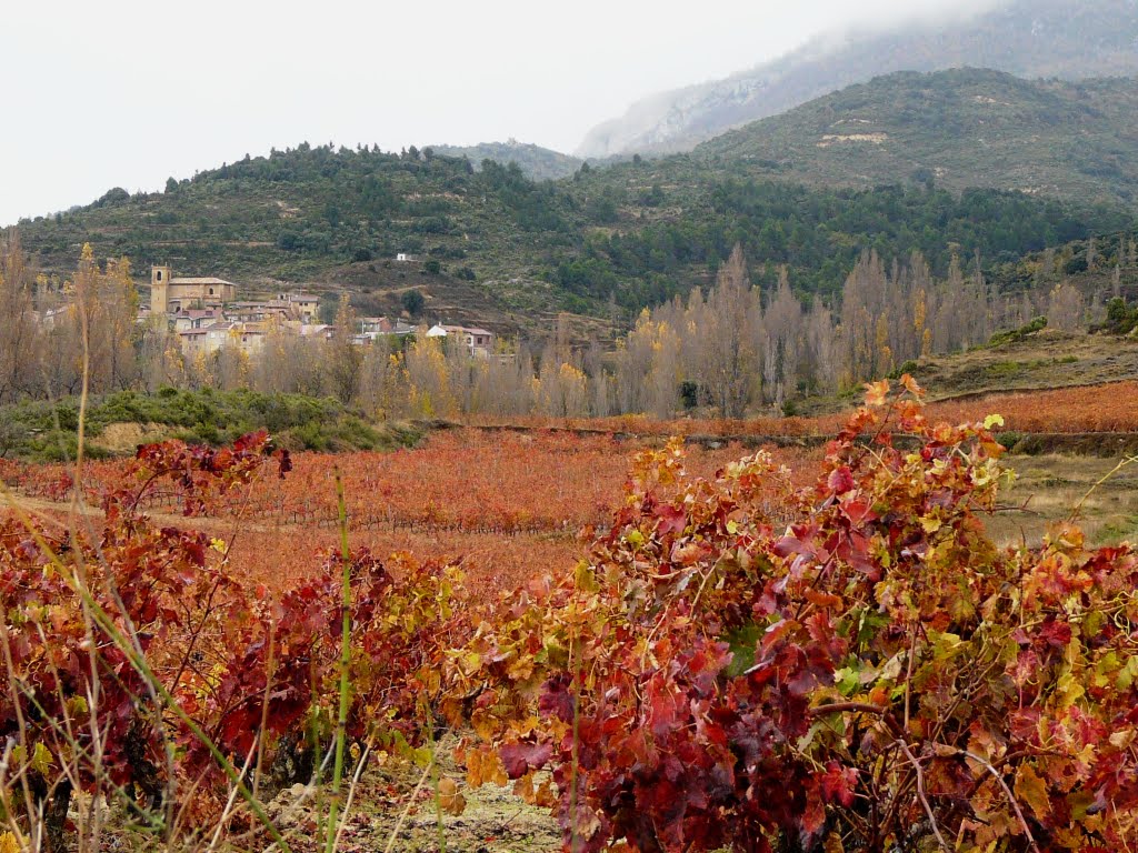 Otoño en la sonsierra (Peciña) by Fer1205