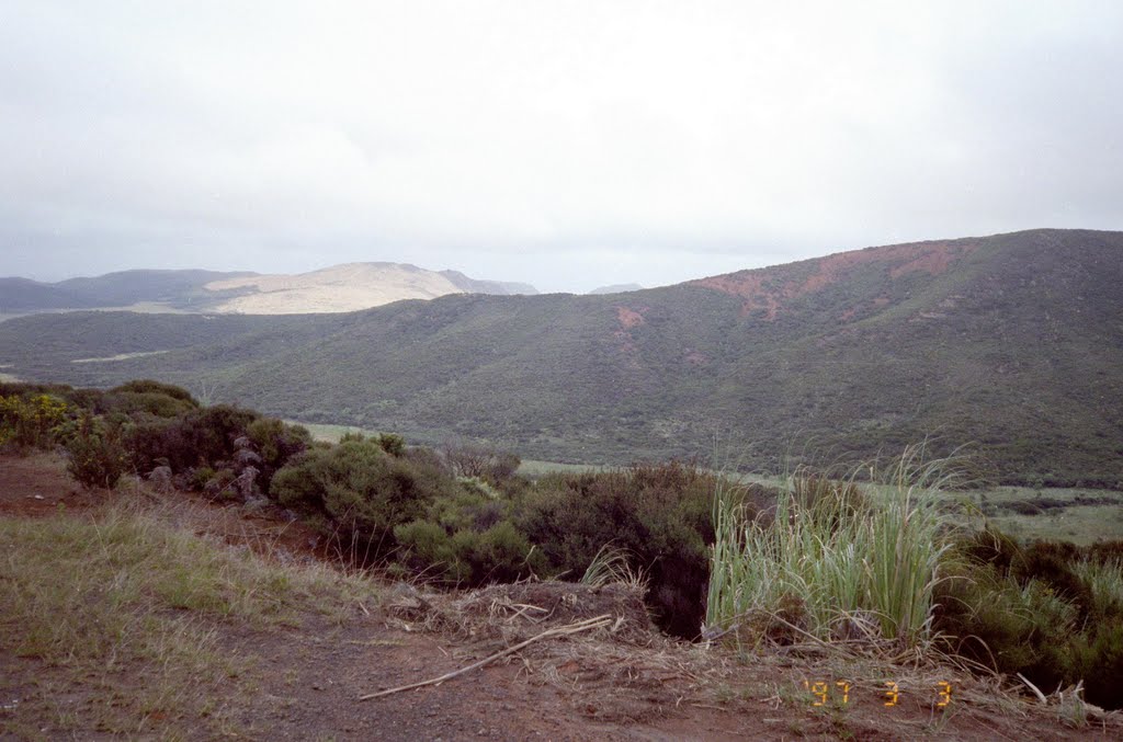 Hills, North Island, New Zealand 1997 by Ralf & Lhyn