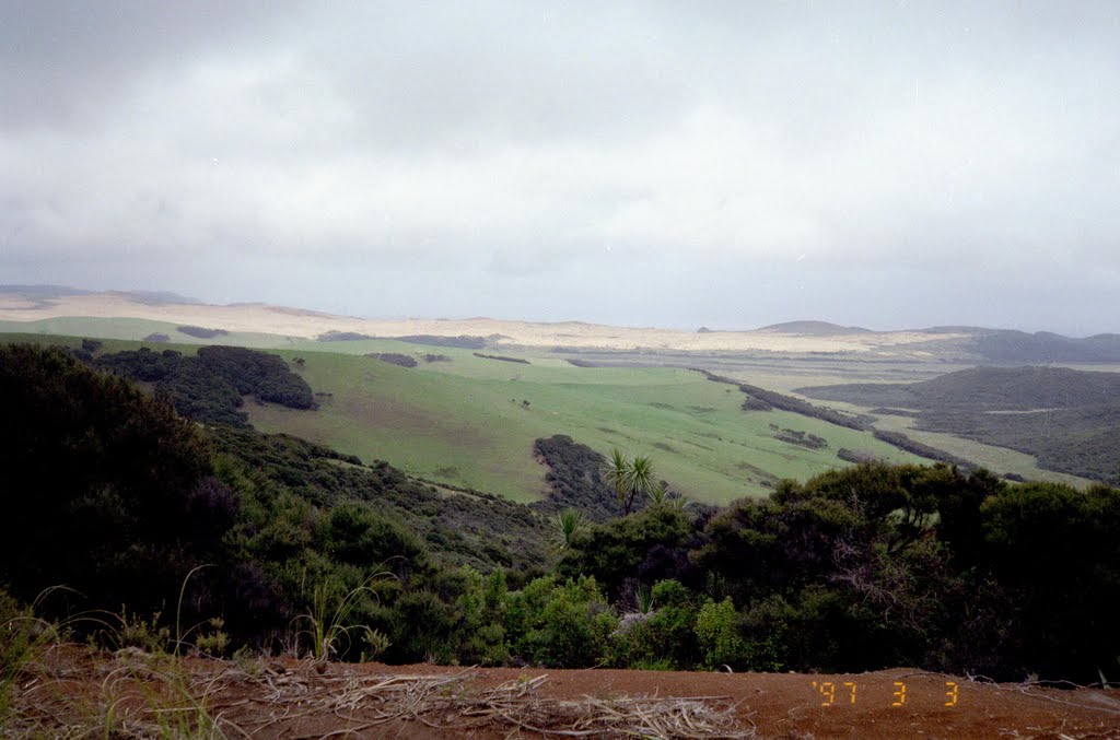 On the way to 90 Miles Beach, North Island, New Zealand 1997 by Ralf & Lhyn