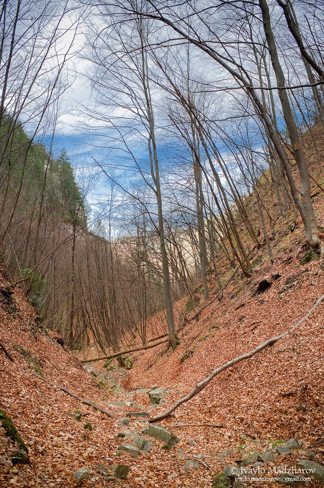 Asenovgrad, Bulgaria by Ivaylo Madzharov