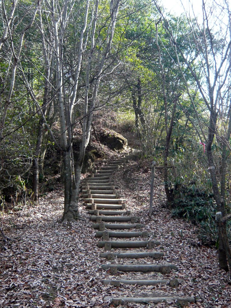 龍王山城(南城) 主郭への登り口 Ryuōzan castle 2011.2.06 by as365n2