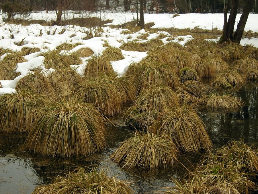 Uroczysko "Belfont".Ecological "Belfont". by Tomasz K47