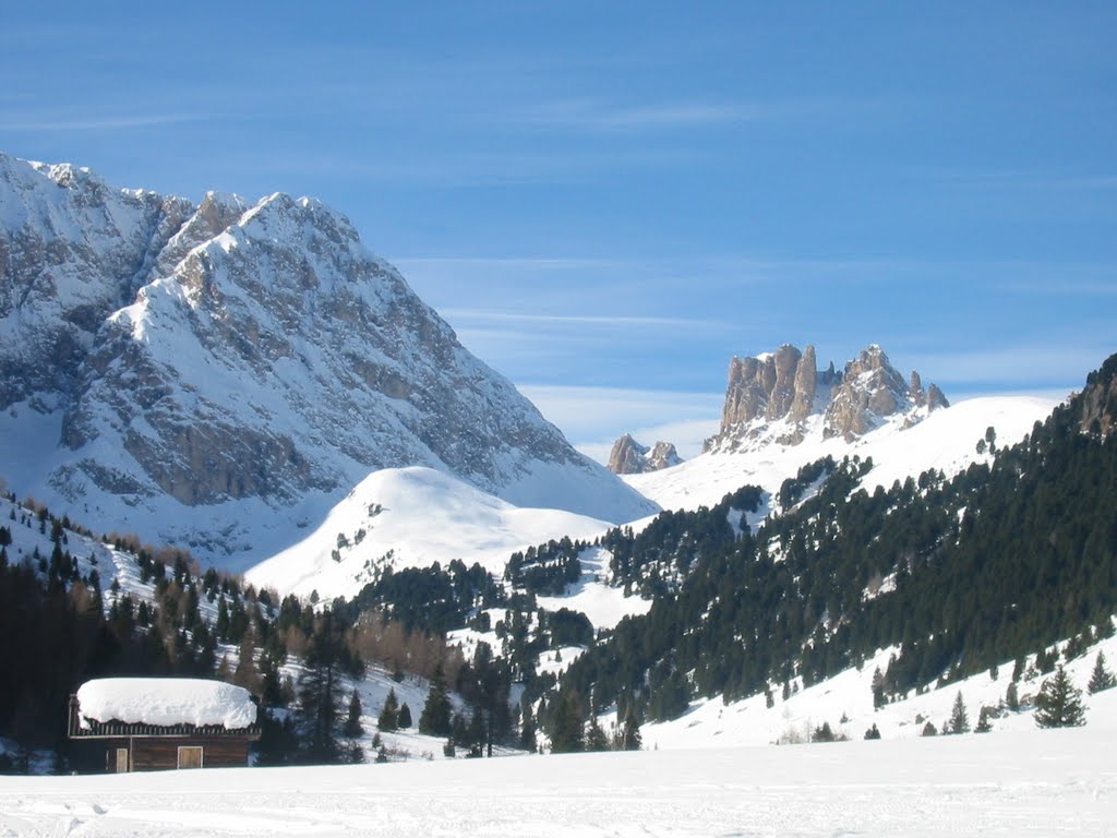 Panorama dolomitico by cobran999