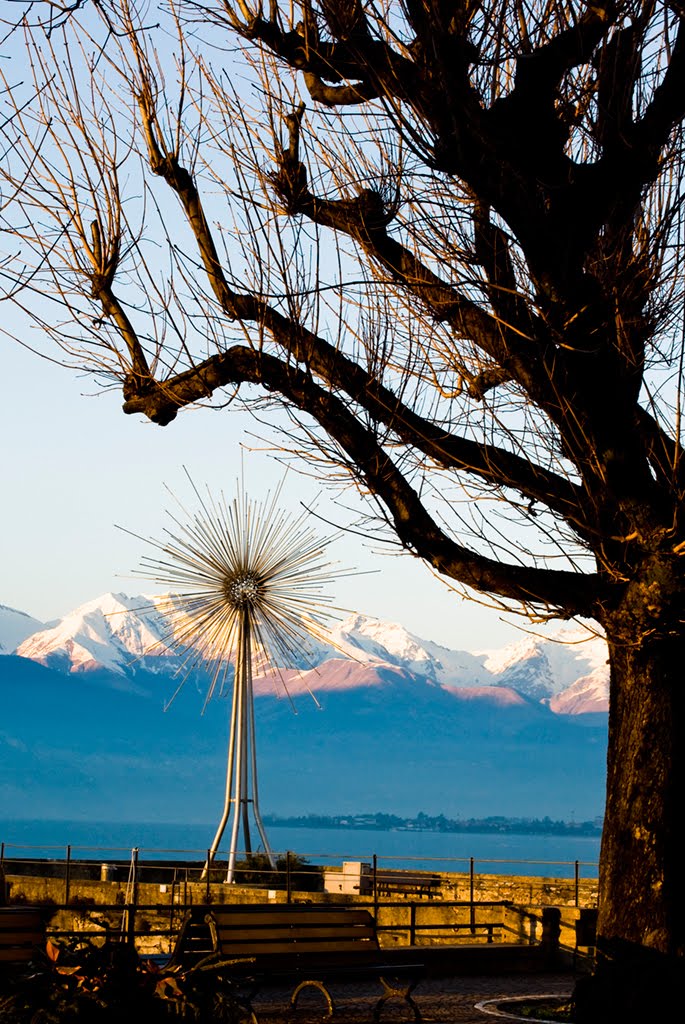 L'ostensorio di Bellano e l'albero adorante by filippo manini