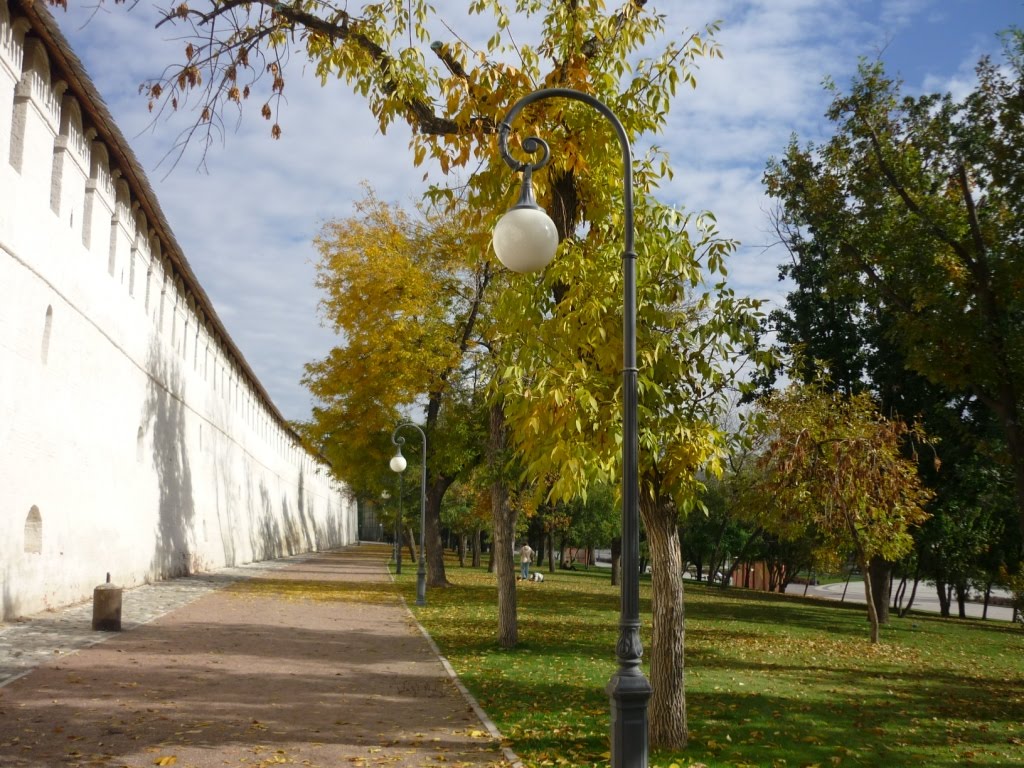 Южная стена Кремля - Southern wall of the Kremlin by Dasterly Michael