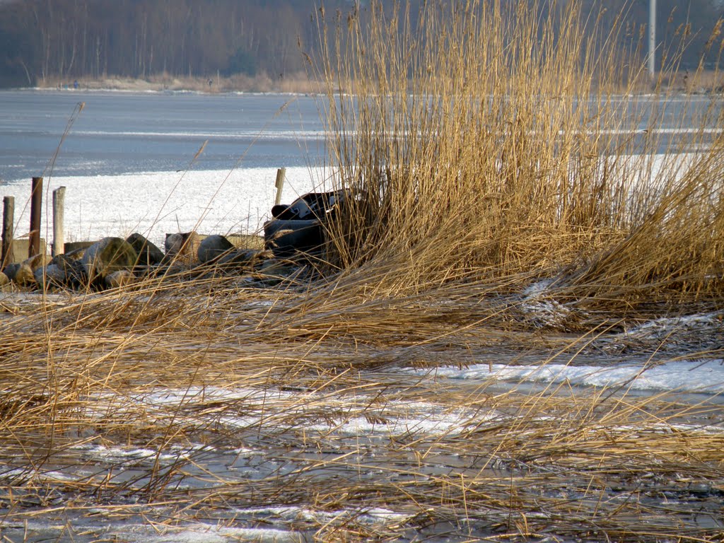 Am Steg in Fuhlendorf by Fotojogger