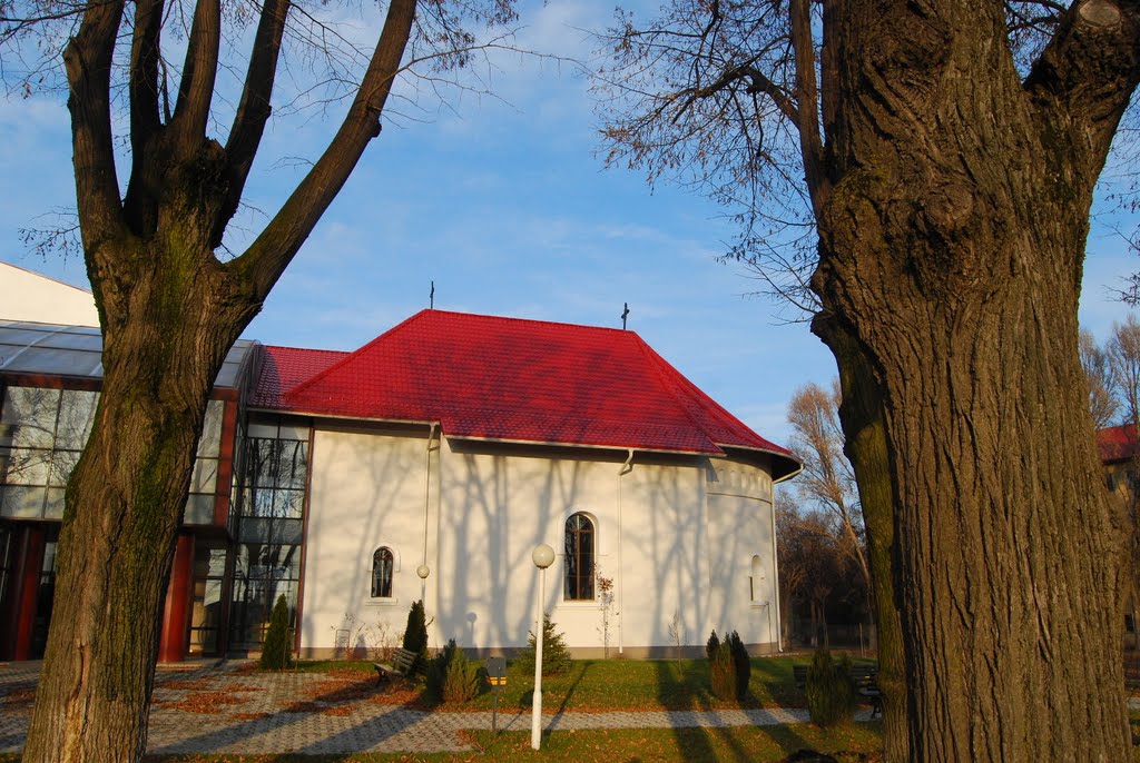 Capela Seminarului Teologic - Iași by Alexandru Losonczy