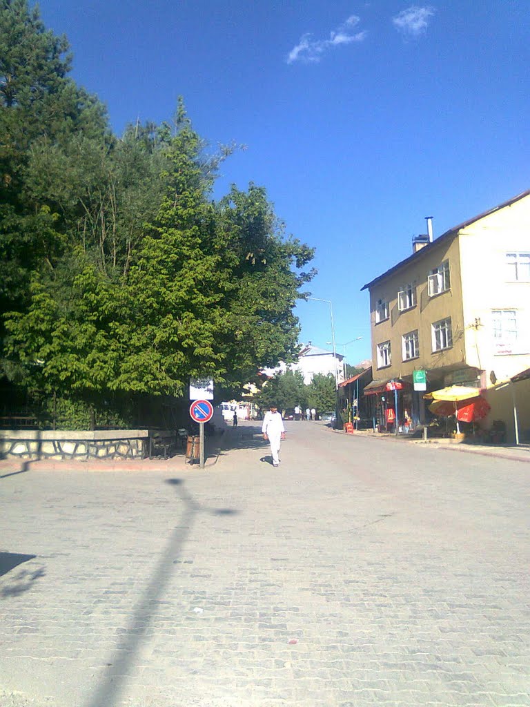 Hozat Atatürk Parkı (CITY CENTER OF HOZAT) by berkekaan