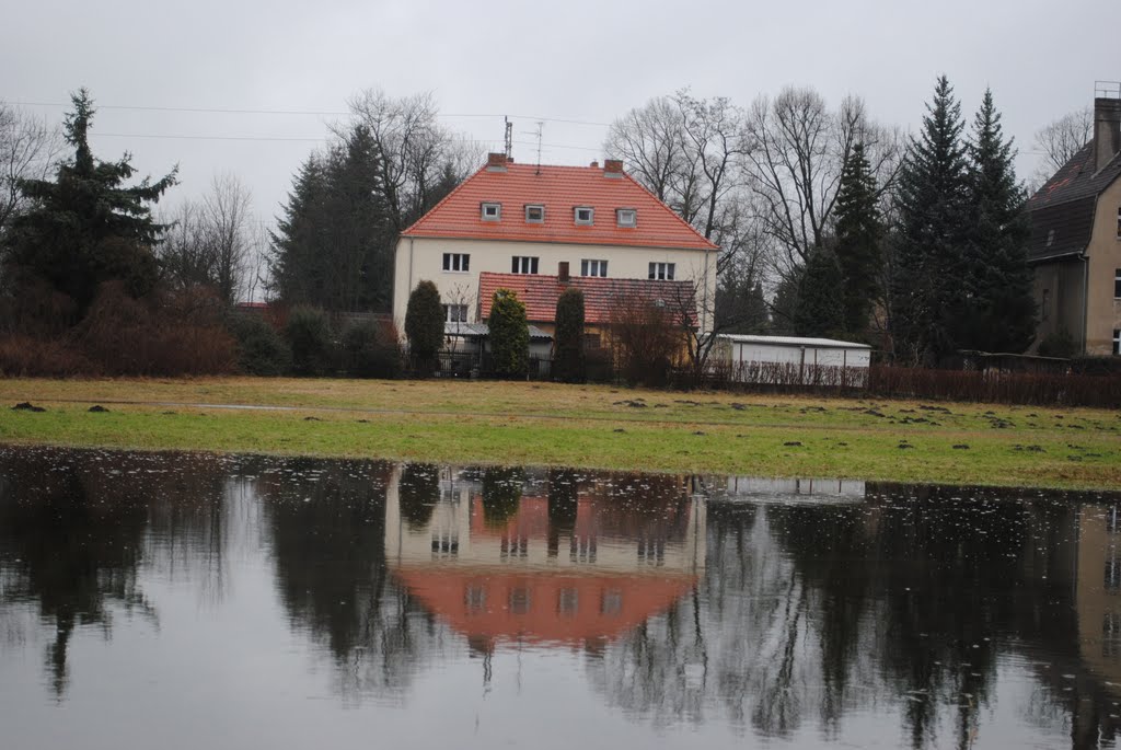 Oben taut es, der Boden noch gefroren! by Kersten MB