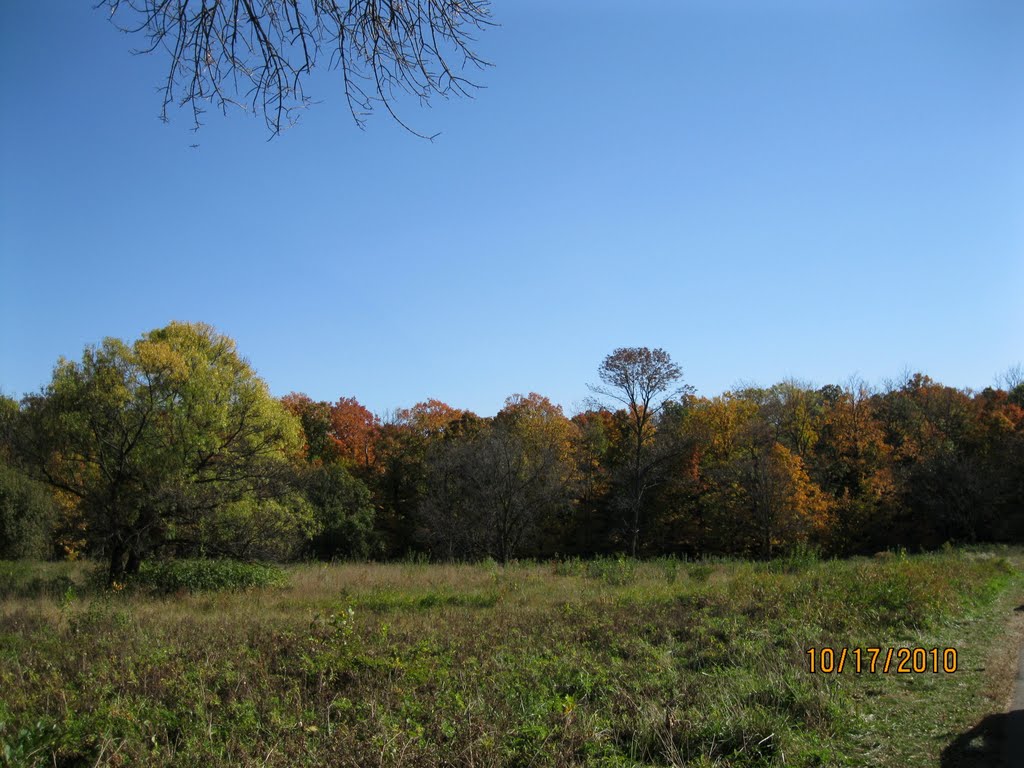 The Morton Arboretum by zbijadek