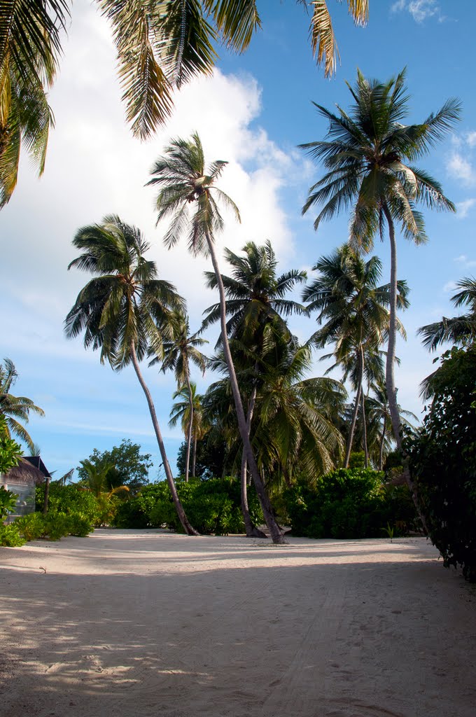 Unnamed Road, Maldives by Oleg Denega