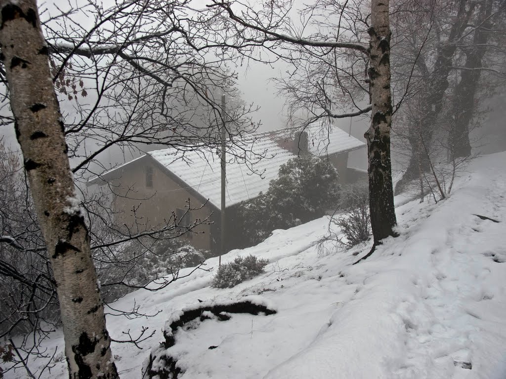 Domenica 30 gennaio era... cosi - Cascina della Burcina (BI). Oggi lavori sospesi by Giancarlo Ticozzi