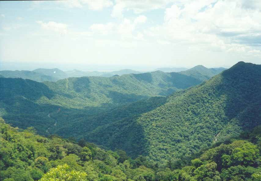 Vista do Vale do rio Branco by Carlos Médici