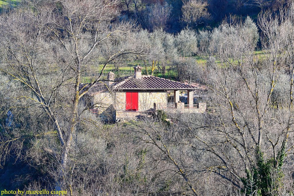 50050 Gambassi Terme, Metropolitan City of Florence, Italy by Marcello Ciappi