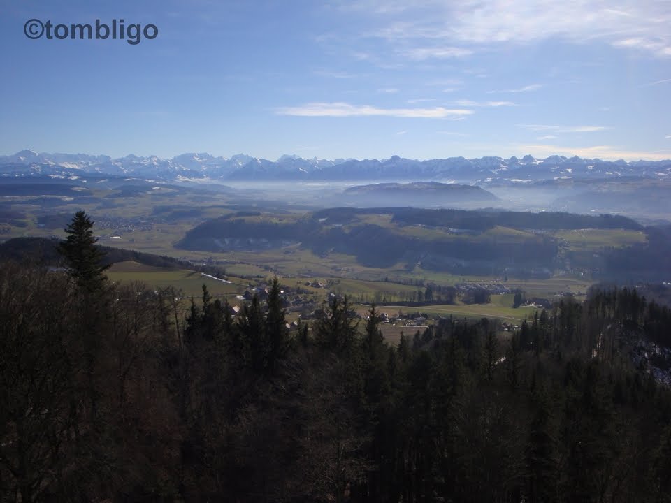 Bantiger - Berner Alpen, Belpberg by ©tombligo.ch