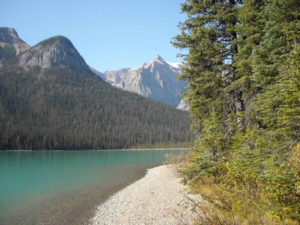 Emerald Lake, Yoho by jbean