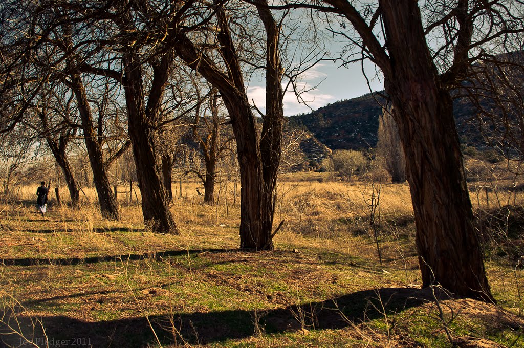 Lonely Girl by JoePledger