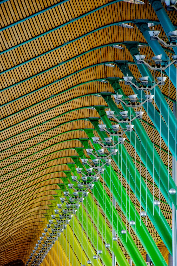 Madrid Barajas Airport by grcav