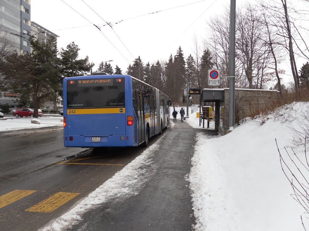 Bus croix fedérale 2011 janvier by as5042194