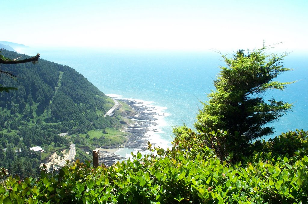 Cape Perpetua Lookout by reedy520