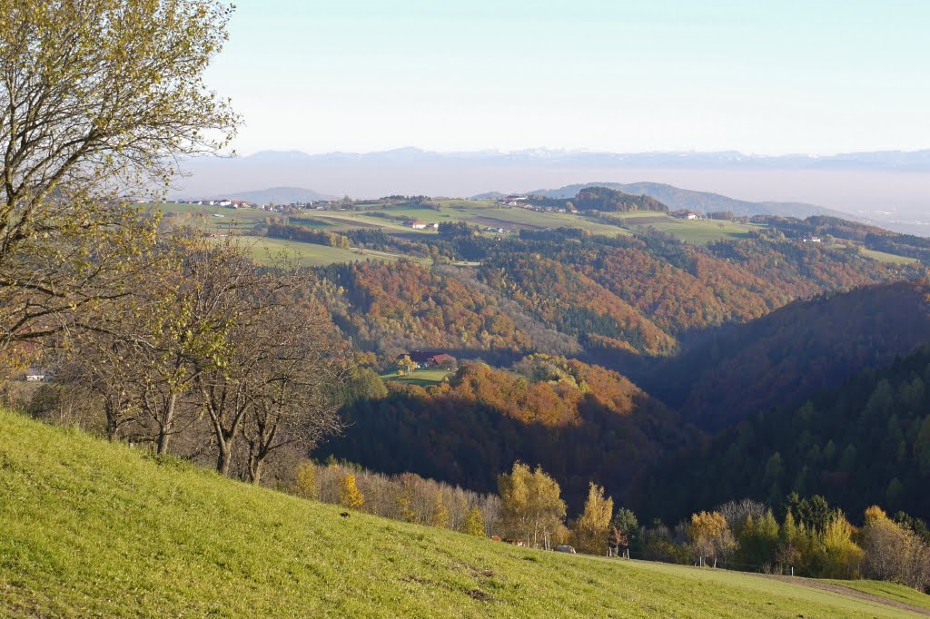 November 2010-Blick auf Haselgraben und Alpen by könig herbert