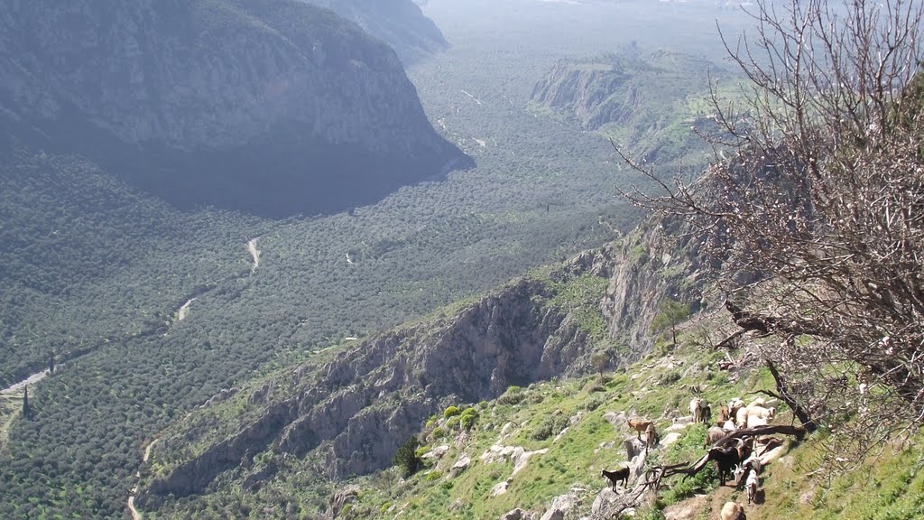 View from Delphi by Marios Polyzoes