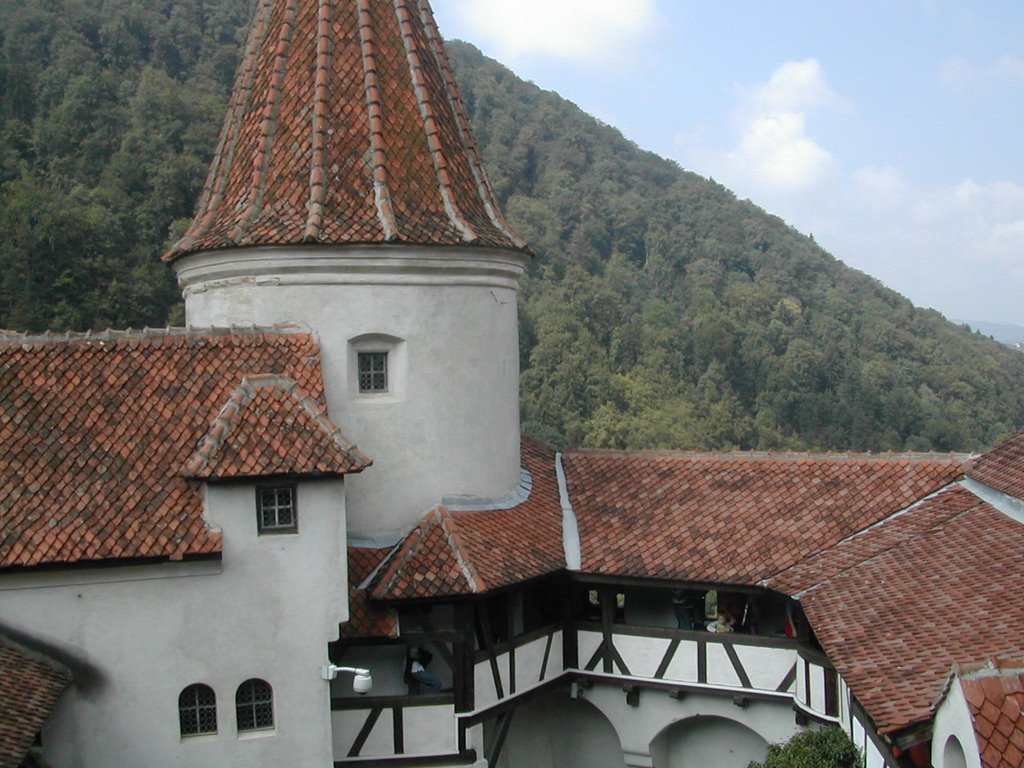 Castello di Bran by Tuombre