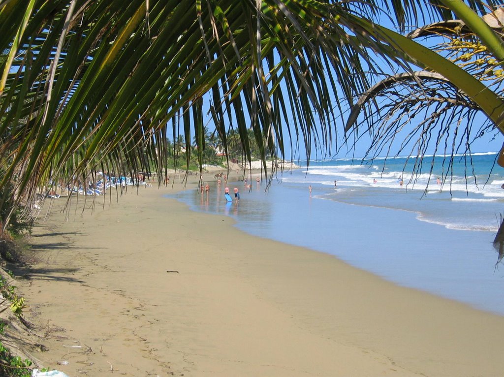 Beach, Puerto Plata Dominican Rep by Janek Tomczyk