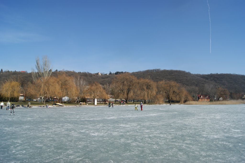 View of Balatonfűzfő from the ice of Lake Balaton by Jammo