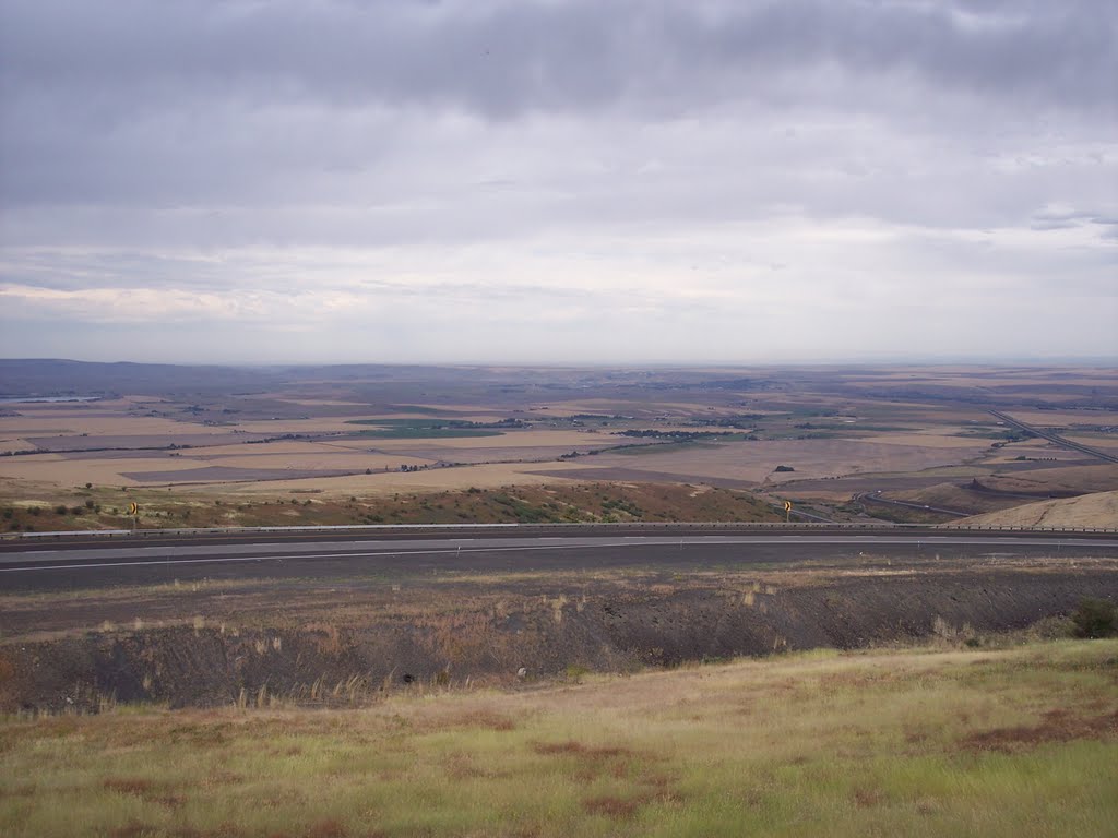 Oregon Scenic Highway in July by tripluvah13