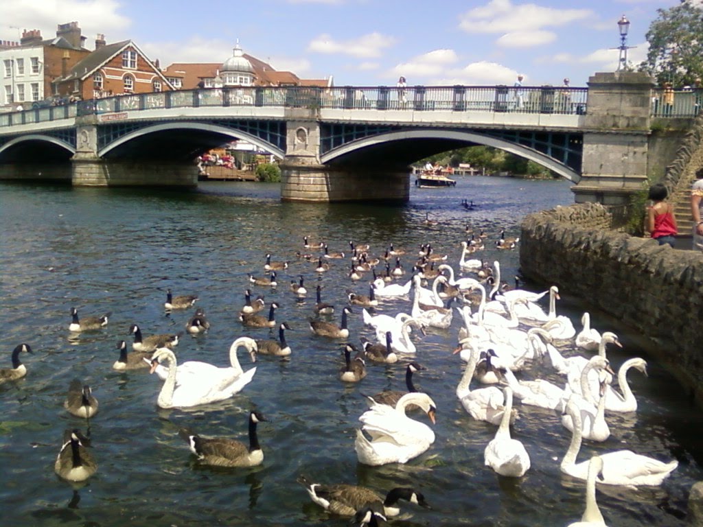 RICHMOND - UK by wanderley stagliano