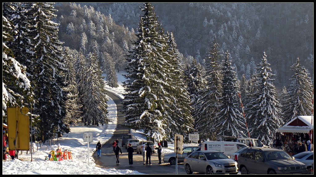 Iarnă la ”Trei brazi” by Sandy065