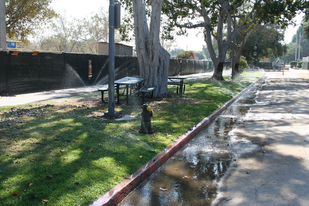 Water Conservation in Los Angeles by Steve Prendergast